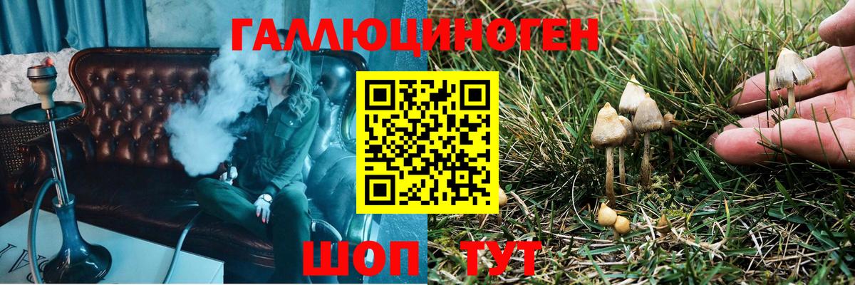 Балтийск  Псилоцибиновые грибы мицелий  Вход с VPN 